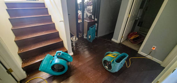 Best Flood restoration services  in Lake Shastina, CA