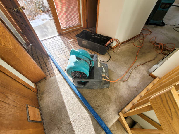 Best Emergency water damage restoration  in Lake Shastina, CA