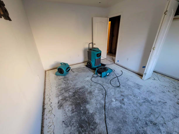 Best Carpet water damage restoration  in Lake Shastina, CA