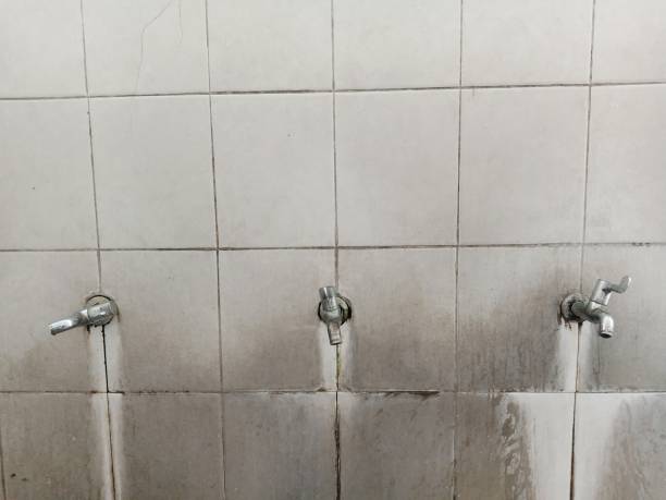 Best Flood damage cleanup  in Lake Shastina, CA