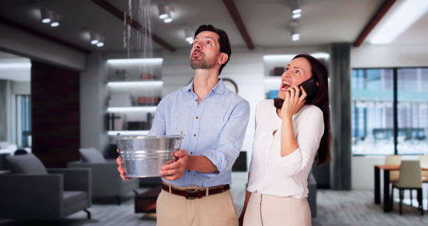 Best Water damage restoration near me  in Lake Shastina, CA