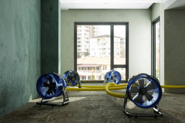 Best 24/7 water damage repair  in Lake Shastina, CA